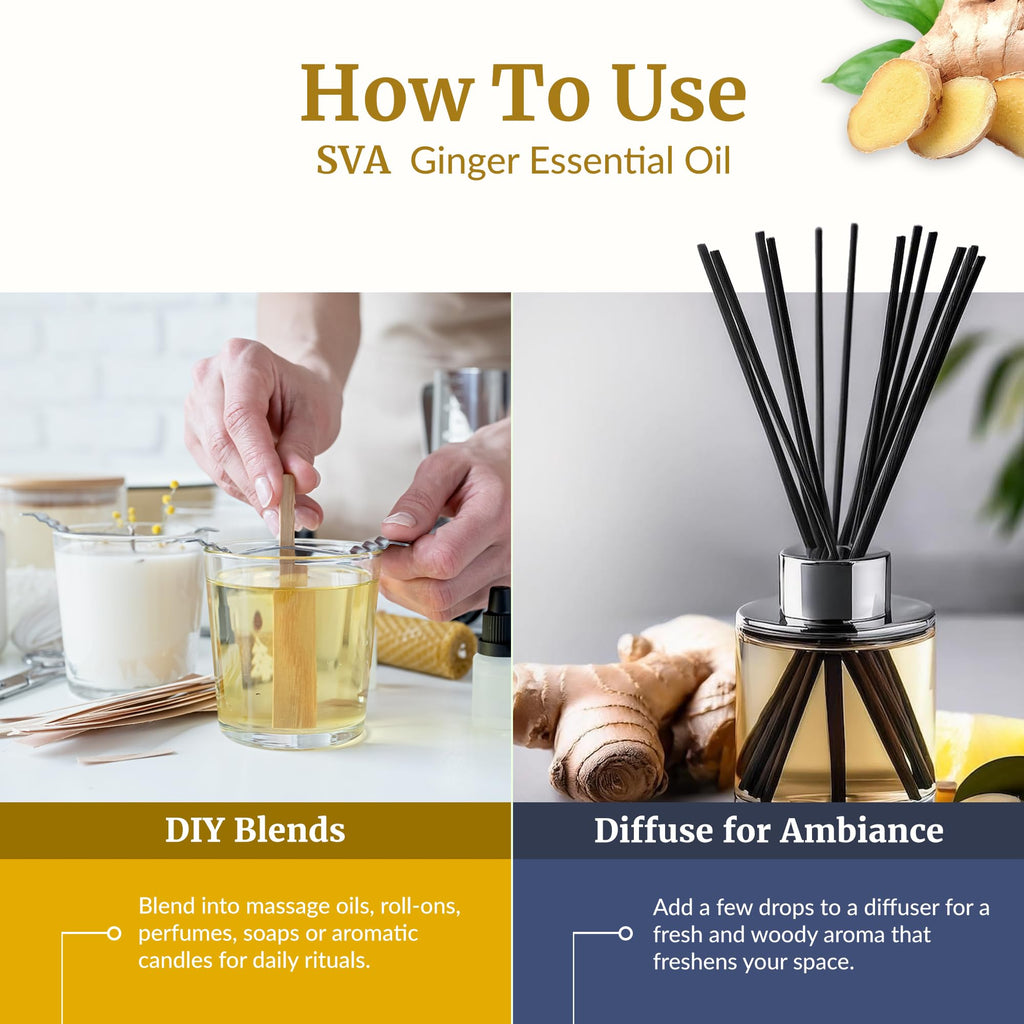 SVA Ginger Essential Oil – 4 oz | 100% Natural for Diffuser, Skin & Hair