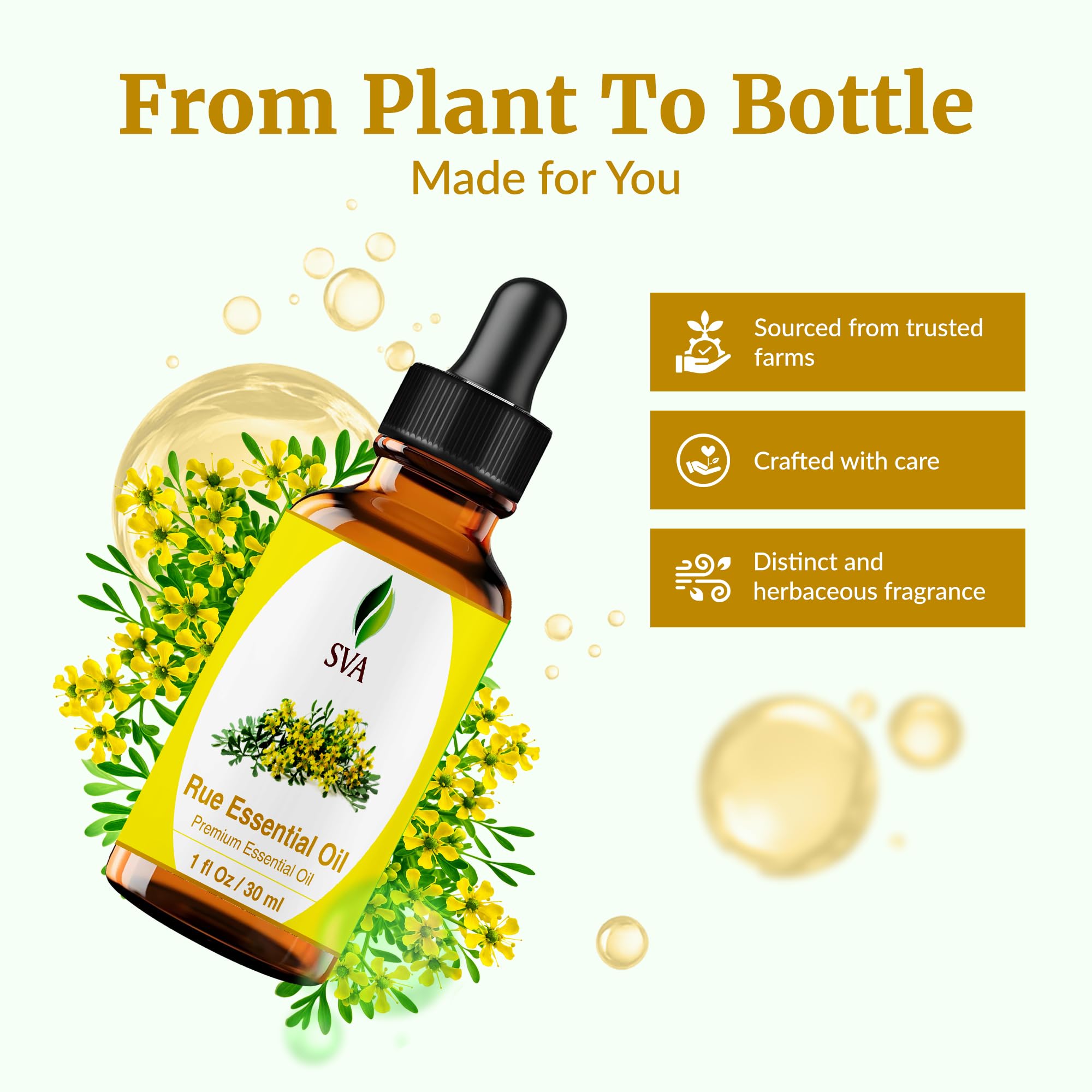 SVA Rue Essential Oil 1oz – 100% Natural Rue Oil for Diffuser, Face & Skin Care, Hair Care, Aromatherapy, Massage | Dropper