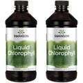 Swanson Liquid Chlorophyll - Water-Soluble Chlorophyll from Alfalfa Leaf - Immune Support & Natural Energy - 16 oz Bottle (2 Pack)