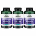 Swanson Magnesium Lactate – Gentle Lactate Magnesium for Muscle & Bone Support | 3 Pack
