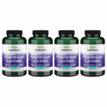 Swanson Magnesium Lactate - Lactose-Free Magnesium with Gentle Absorption | 4-Pack (480 capsules)