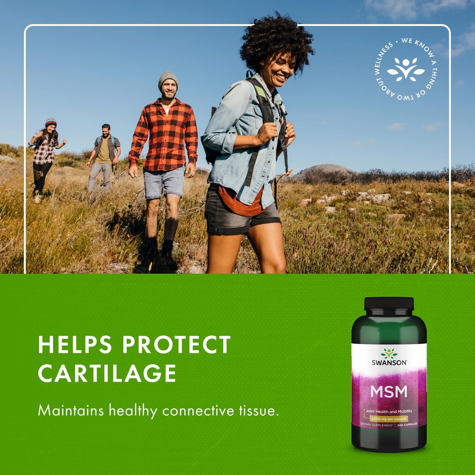 Swanson MSM 1000mg 240 Capsules - Joint Health & Mobility (2 Pack)