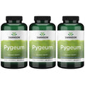 Swanson Pygeum - Men's Health Herbal Supplement (3-Pack, 120 Capsules, 400 mg)