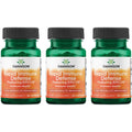 Swanson Rapid Immune Defense with Epicor 500 mg – 30 Caps (3 Pack)