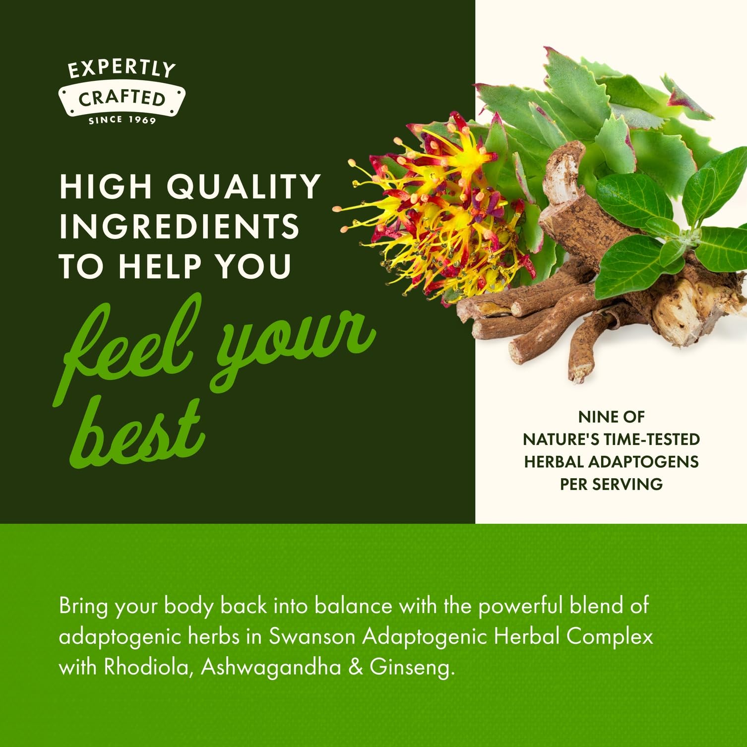 Swanson Rhodiola Ashwagandha Ginseng Complex – Mood, Energy & Immune Support | 60 Capsules (3 Pack)