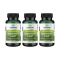 Swanson Spearmint Leaf Full Spectrum 60 Caps – Digestive Health Support