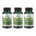 Swanson Fucoidan Extract 500mg - Immune Support - 60 Veggie Capsules - 3 Pack