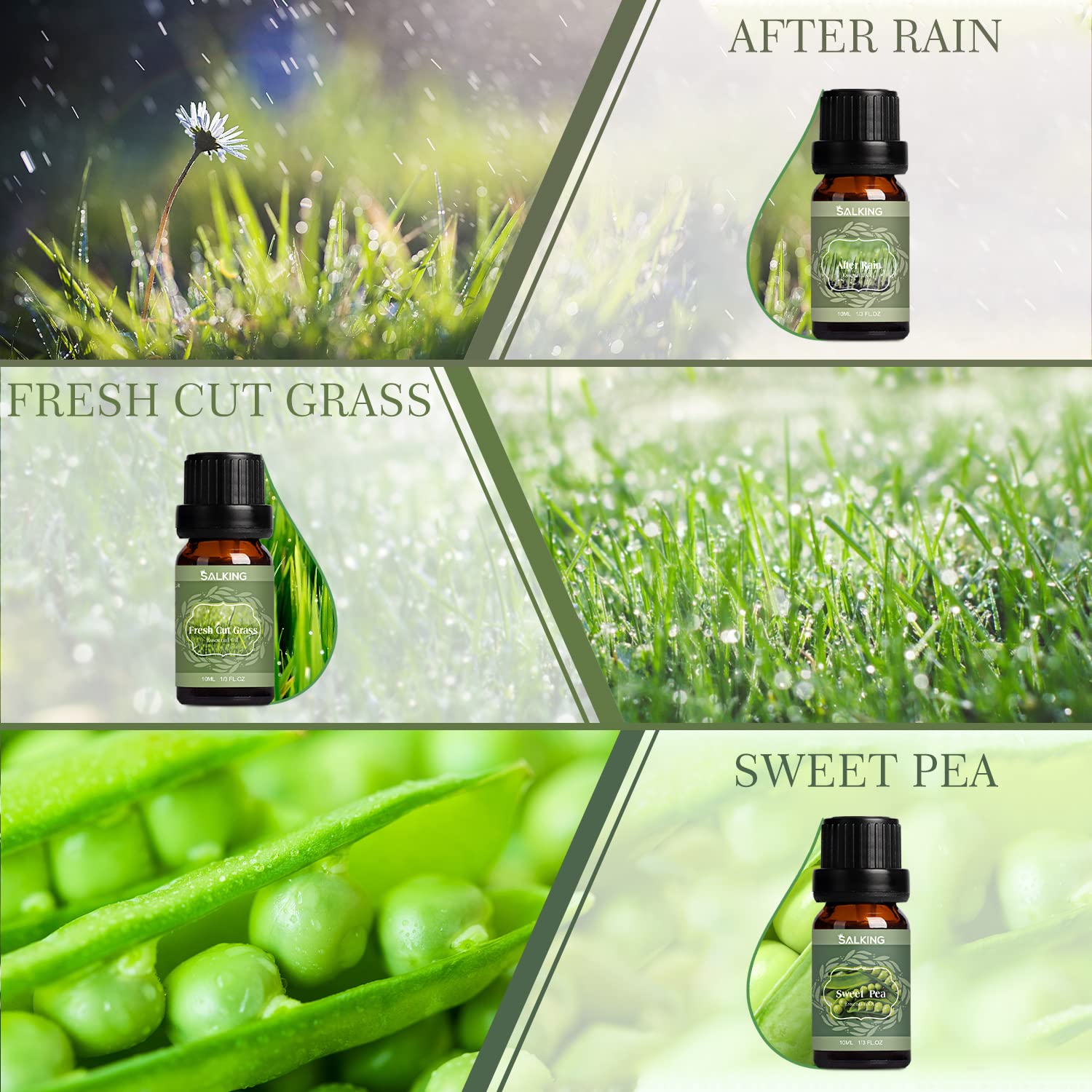 SALKING Spring Fragrance Oils Set | Premium Essential Oils Gift for Diffuser, Soap & Candle Making