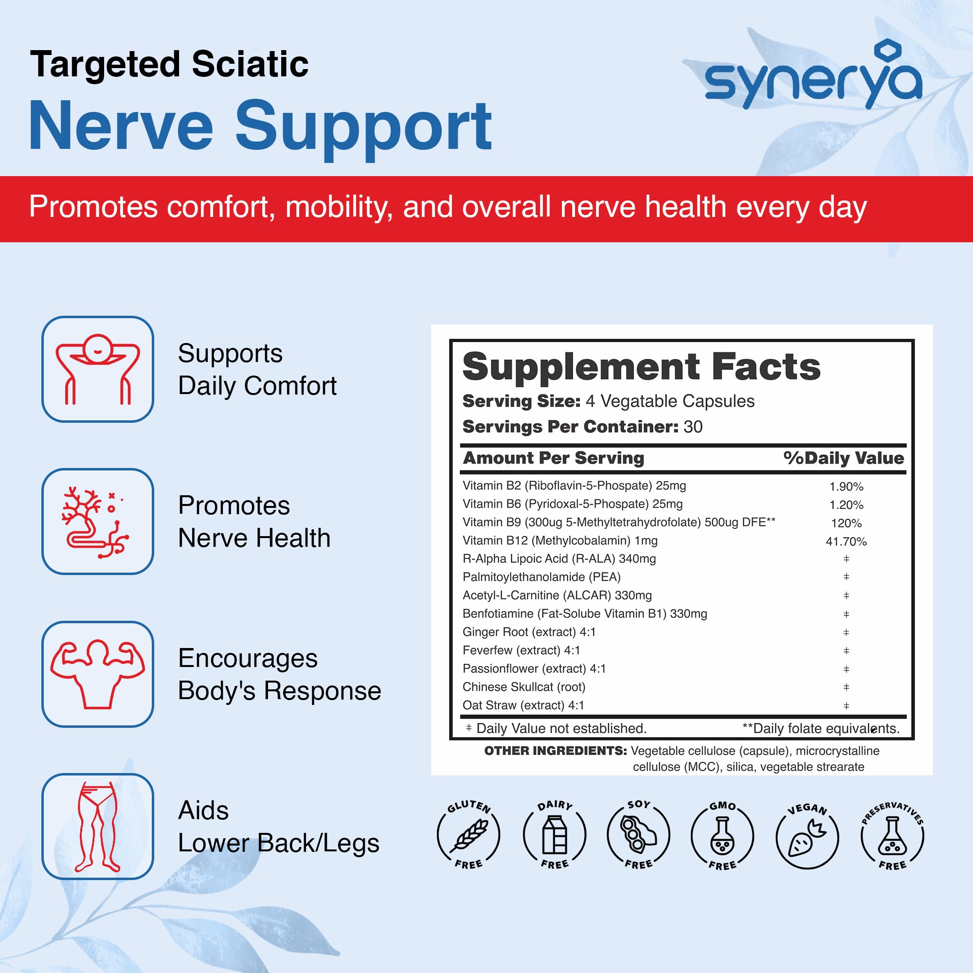 SYNERYA Advanced Sciatic Nerve Support – Alpha Lipoic Acid & Vitamin B Complex, 120 Capsules