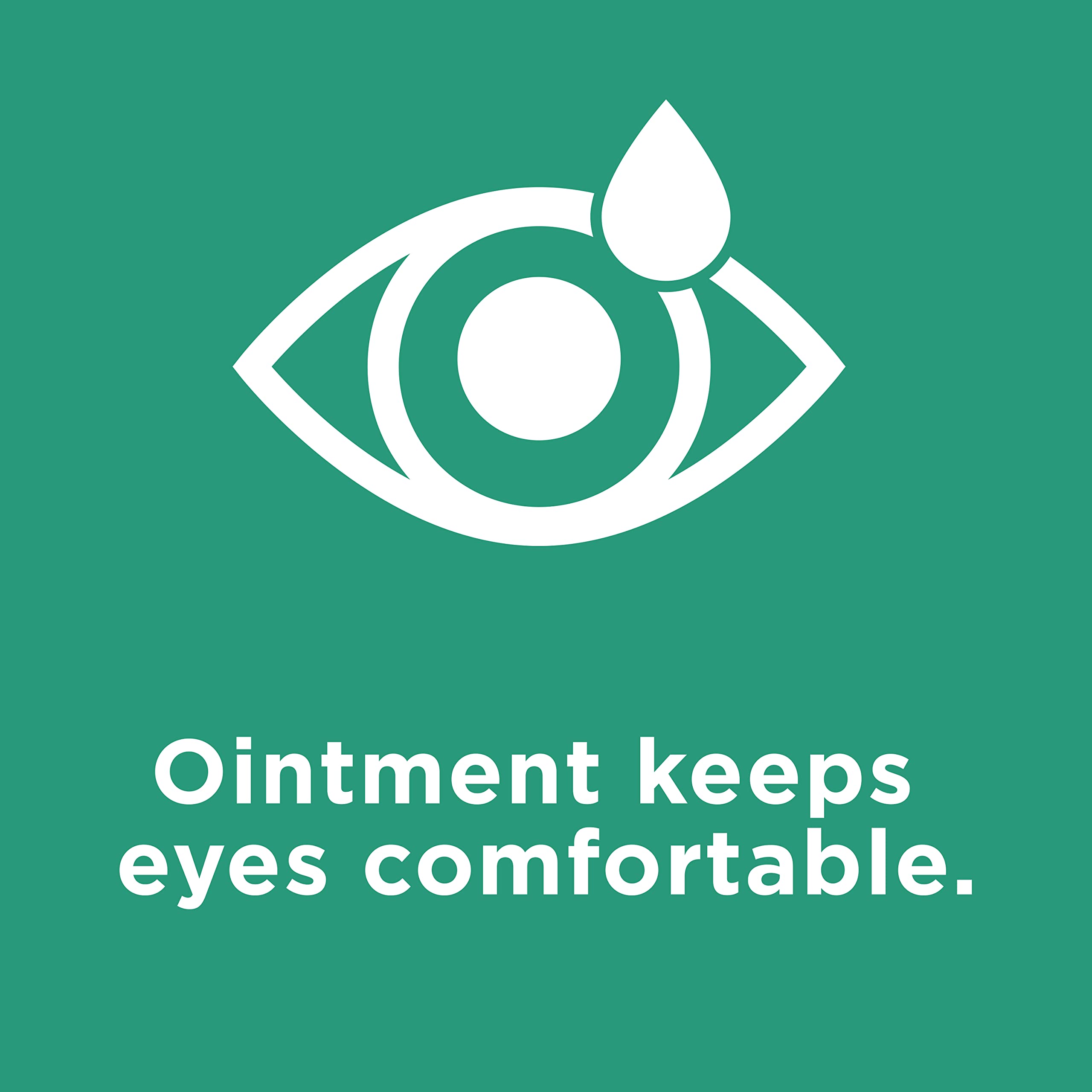 Systane Nighttime Lubricant Eye Ointment 3.50 g - 2 Pack - Preservative-Free Overnight Comfort