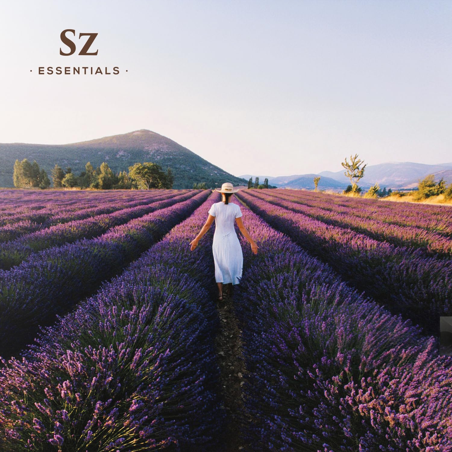 Sz Essentials Kashmir Lavender Essential Oil – 100% Pure & Undiluted (0.22 fl oz / 6.5 mL)