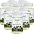 SZCZEKIN AHCC 1500 mg — 8 Mushroom Extract Immune Support Supplement | 720 Veggie Capsules