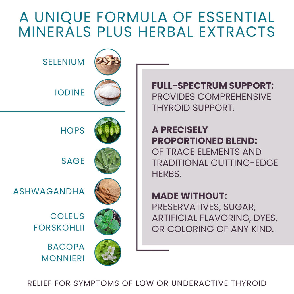 T-Balance Plus: Natural Thyroid Support for Women & Men – Iodine, Selenium & 5 Herbs (60 Capsules)