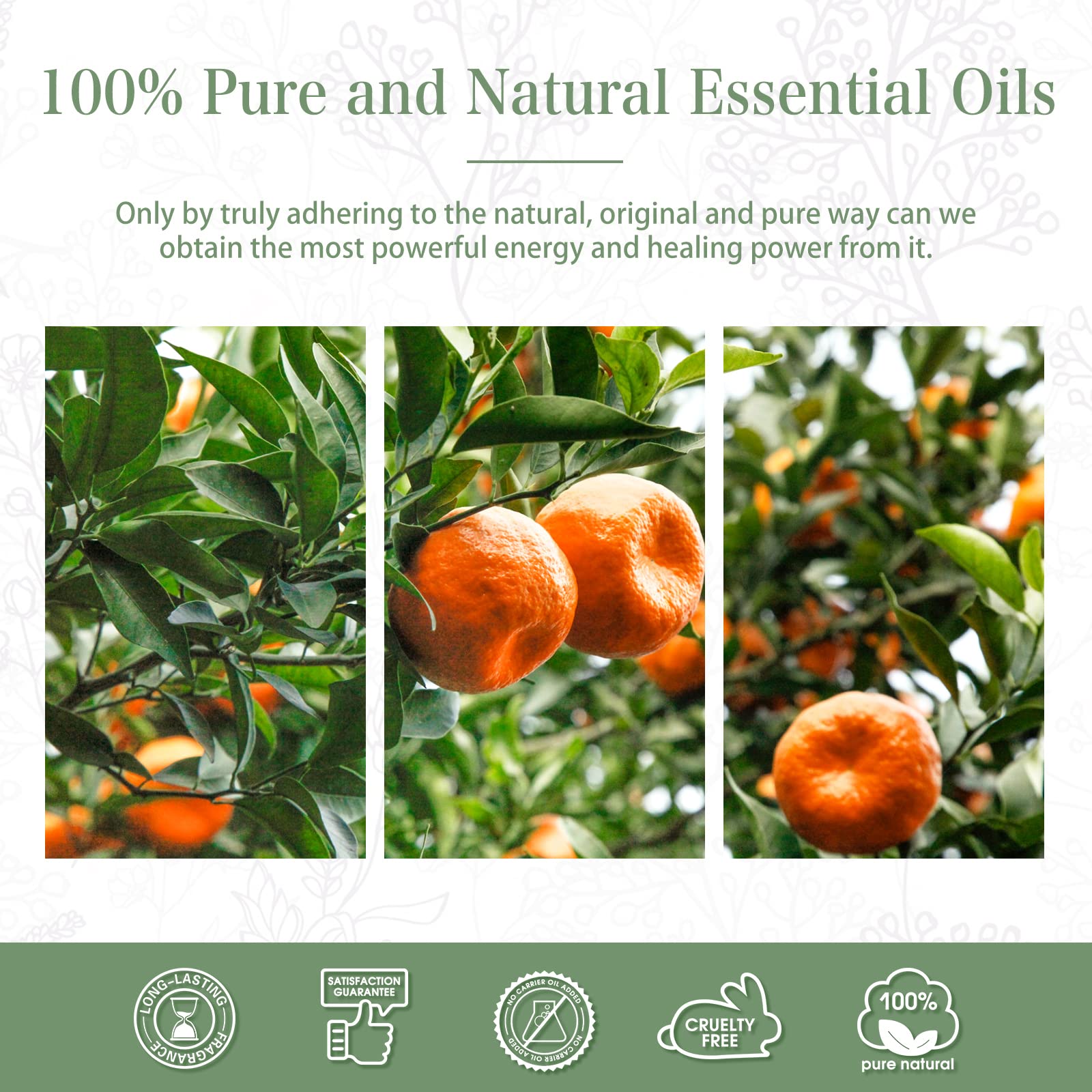 Tangerine Essential Oil 30ml – PHATOIL Pure Aromatherapy for Diffusers, DIY Soap, Candle, Bath Bombs