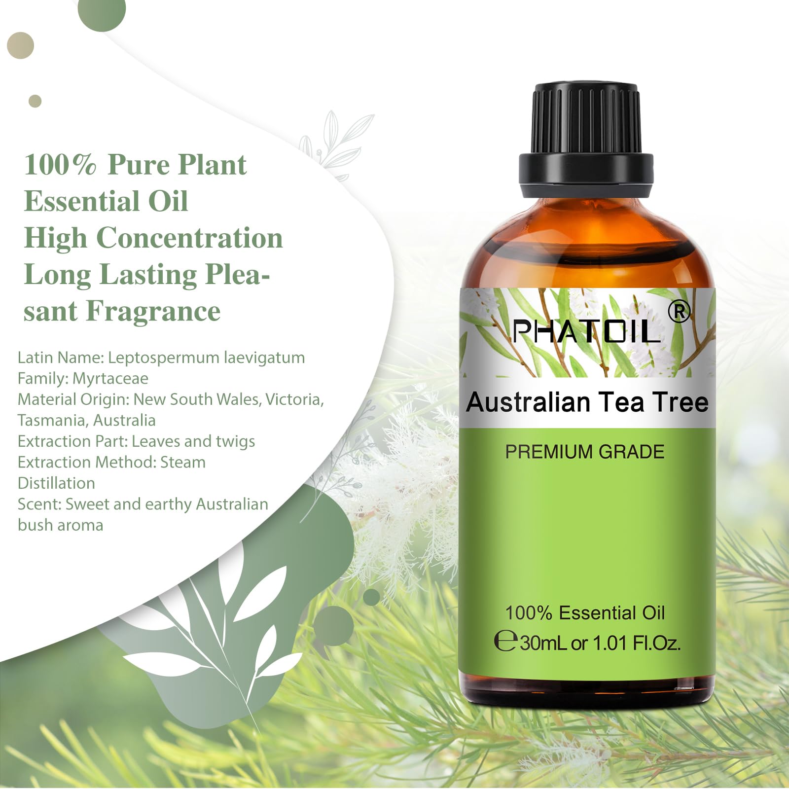 Australian Tea Tree Essential Oil 30ml | PHATOIL Pure Aromatherapy