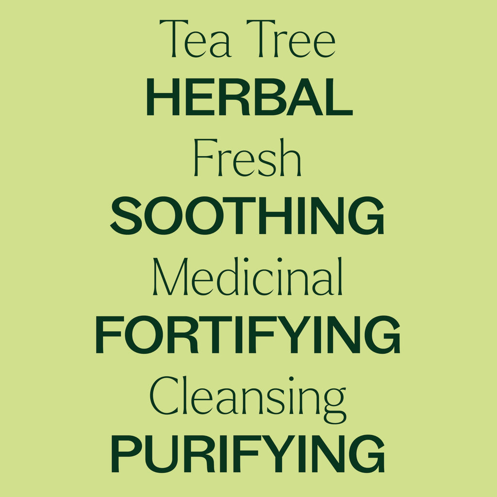 Plant Therapy Tea Tree Essential Oil 30 mL – 100% Pure & Therapeutic Grade