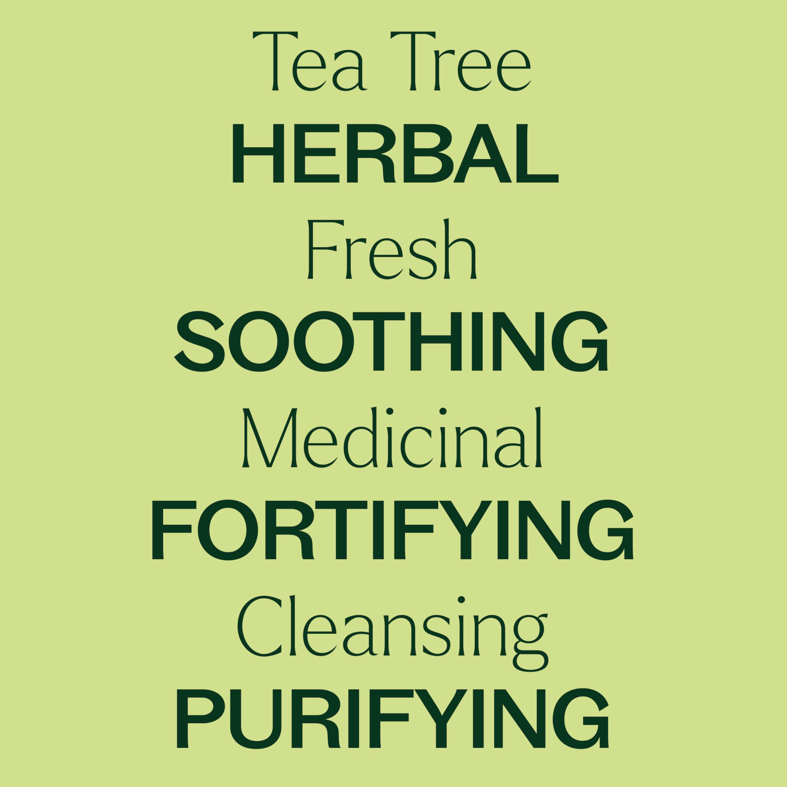 Plant Therapy Tea Tree Essential Oil 30 mL – 100% Pure & Therapeutic Grade