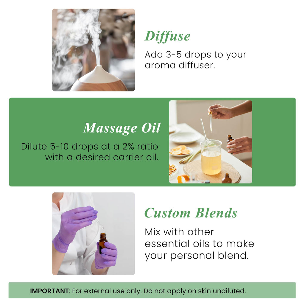 Handcraft Blends Tea Tree Essential Oil – 1 Fl Oz | 100% Pure & Natural