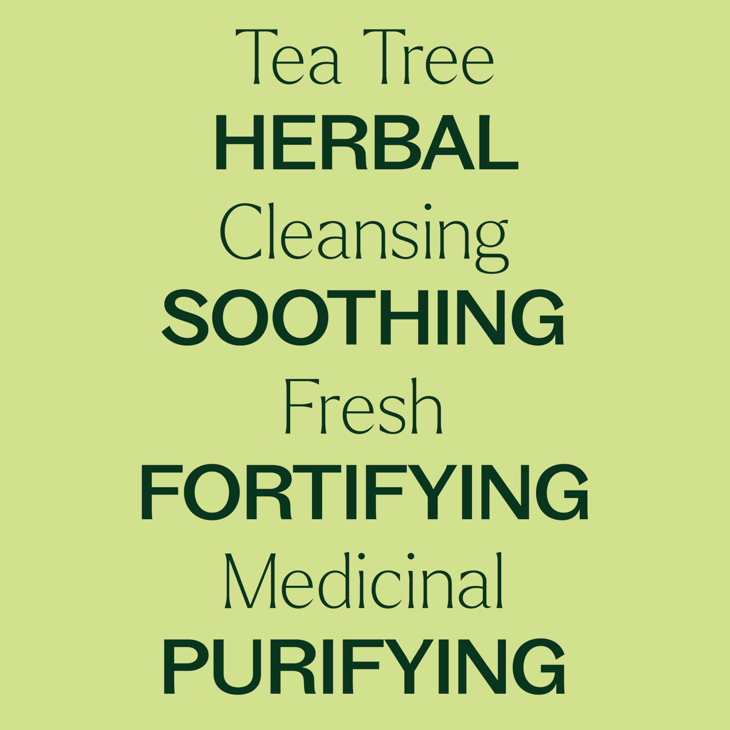 Plant Therapy Tea Tree Oil – 100 mL (3.3 oz) | 100% Pure, USDA Organic, Undiluted, Therapeutic Grade