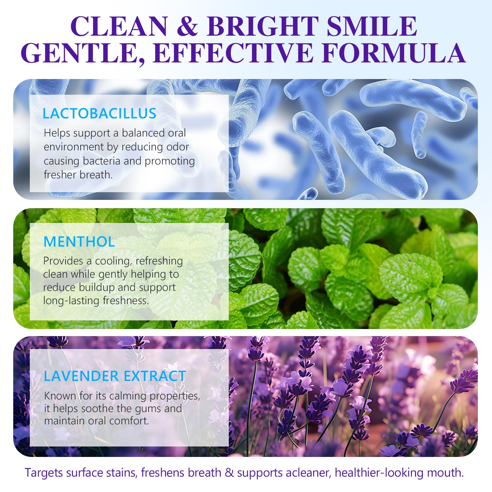 Teeth Whitening Powder – Enamel-Safe Mint & Lavender 1.2 oz | Shimmer Deluxe