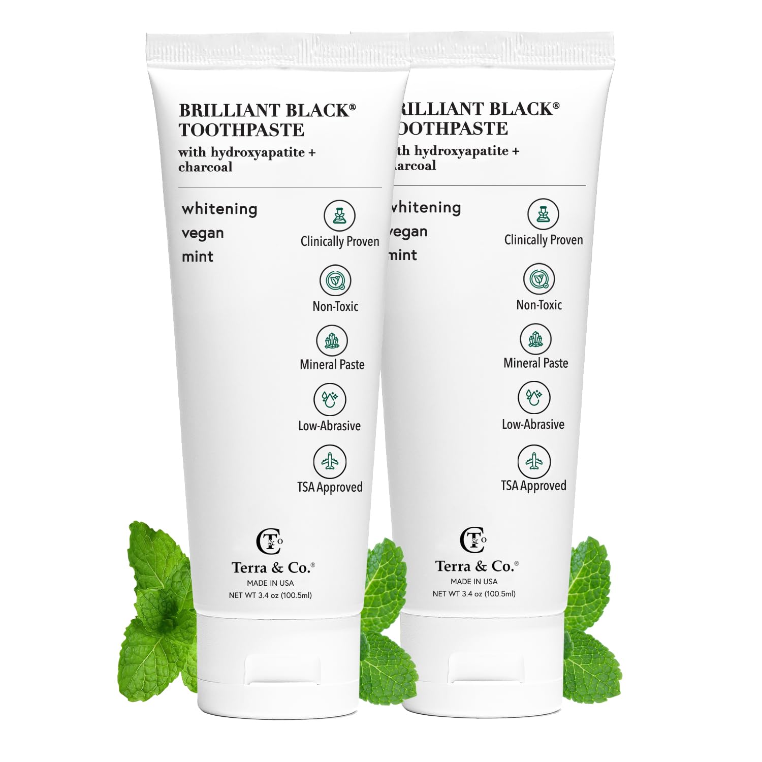 Terra & Co. Brilliant Black Hydroxyapatite Toothpaste for Whitening Teeth – USA-Made, Fluoride-Free, Vegan, SLS-Free, Low Abrasion – Mint, 3.4 oz