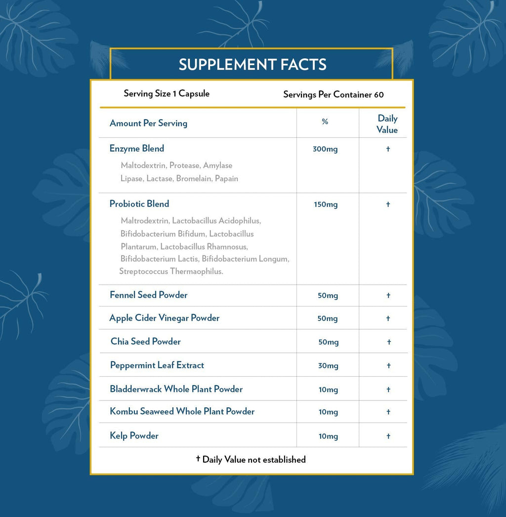TERRA ORIGIN Digestive Enzymes with Probiotics & Prebiotics | 60 Caps
