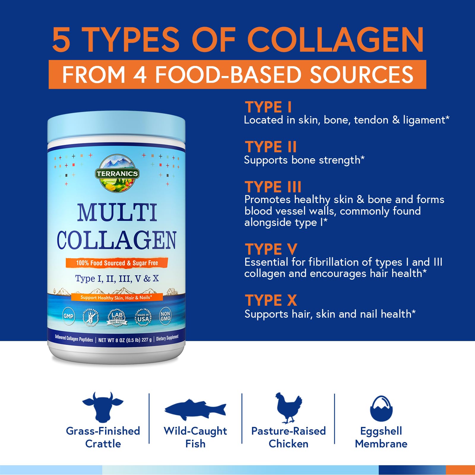 Terranics Multi Collagen Peptides – Type I II III V X, Unflavored