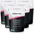 Terrasoul Superfoods Camu Camu Powder 17.5 oz (5 Pack) - Raw, Organic Vitamin C