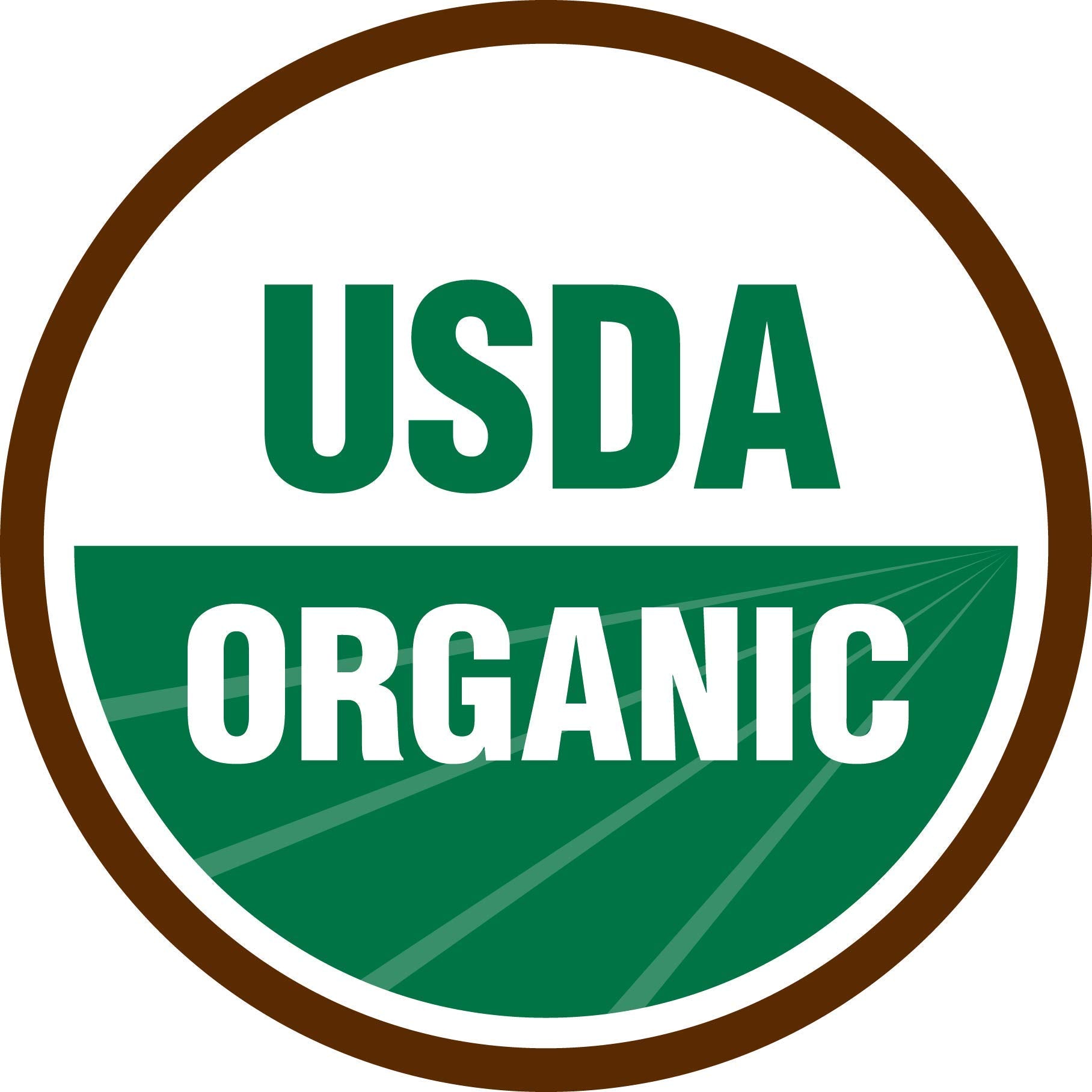 Terrasoul Organic Date Sugar 1 Lb - Low Glycemic, Unrefined | Pack of 2