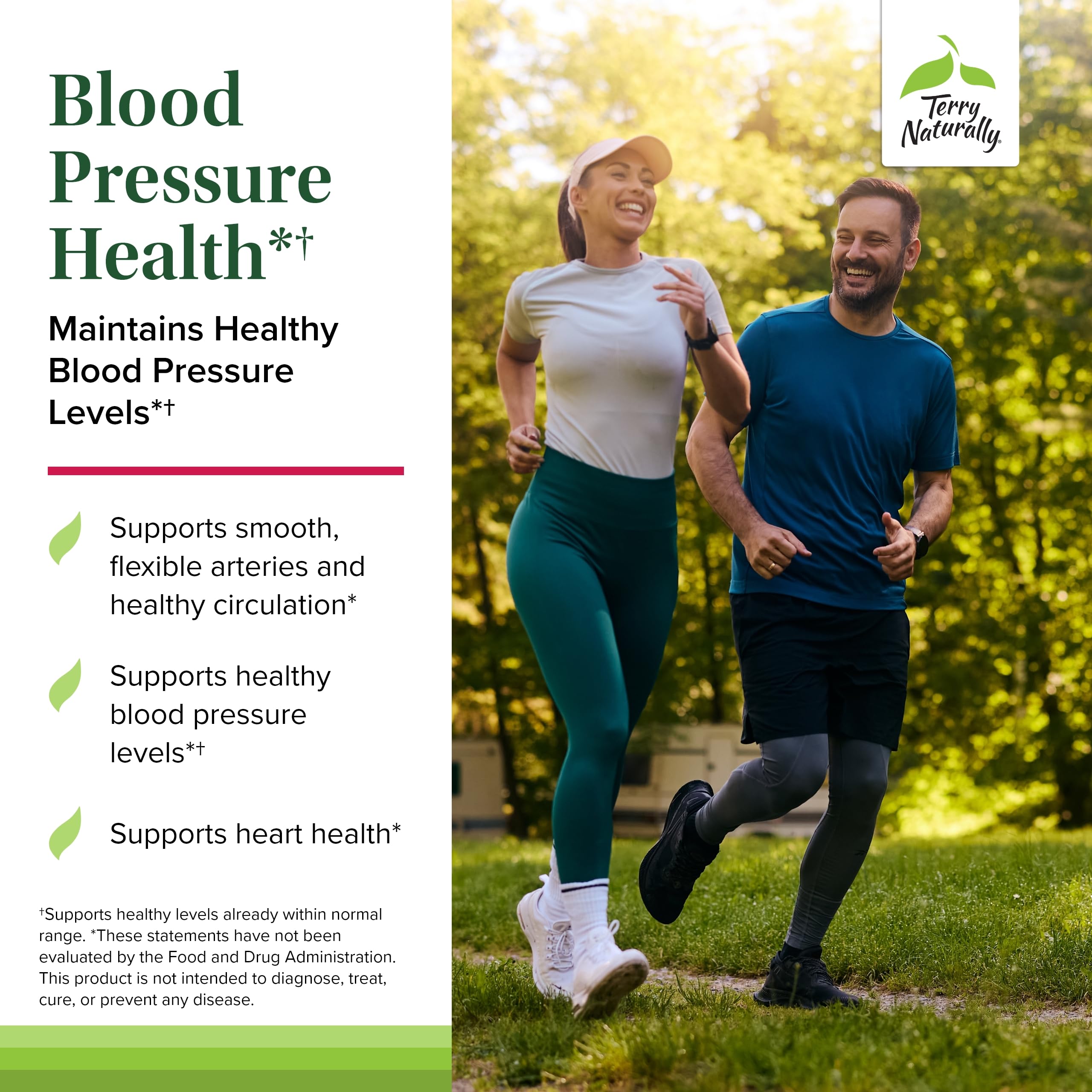 Terry Naturally Blood Pressure Health – Blood Flow & Circulation Support