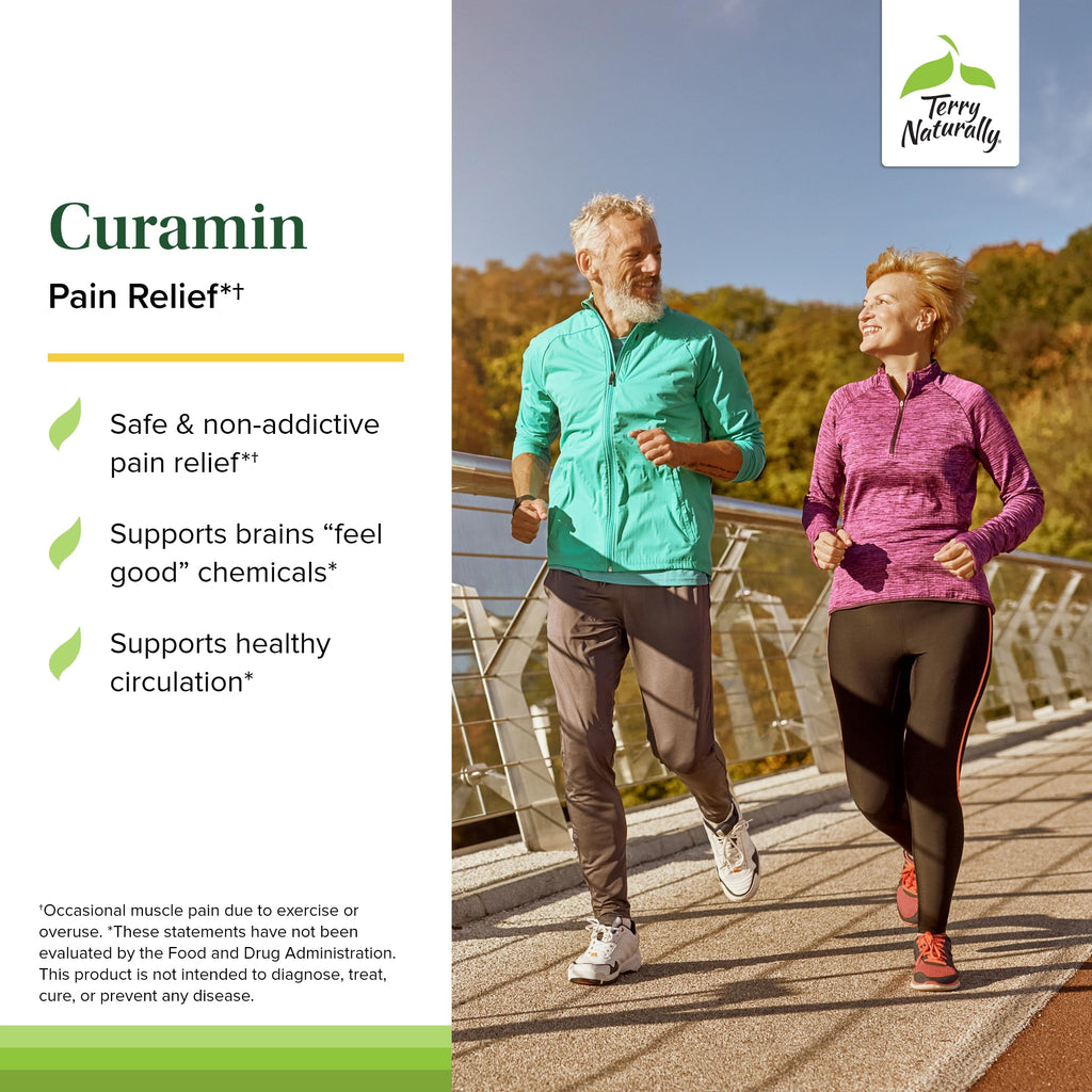 Terry Naturally Curamin Curcumin for Circulation & Endorphin Support - Pack of 3 (120 Capsules)