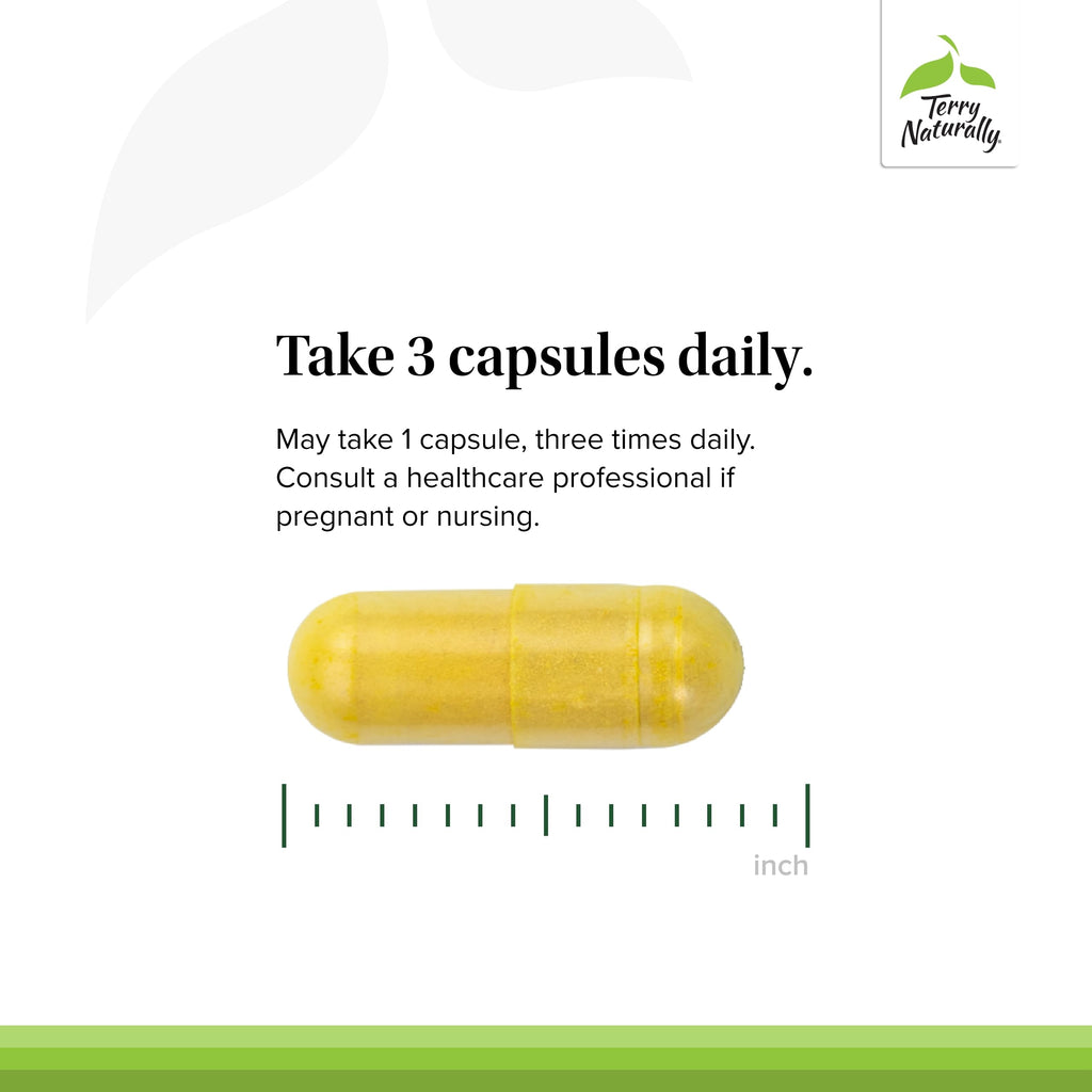 Terry Naturally Curamin Curcumin for Circulation & Endorphin Support - Pack of 3 (120 Capsules)