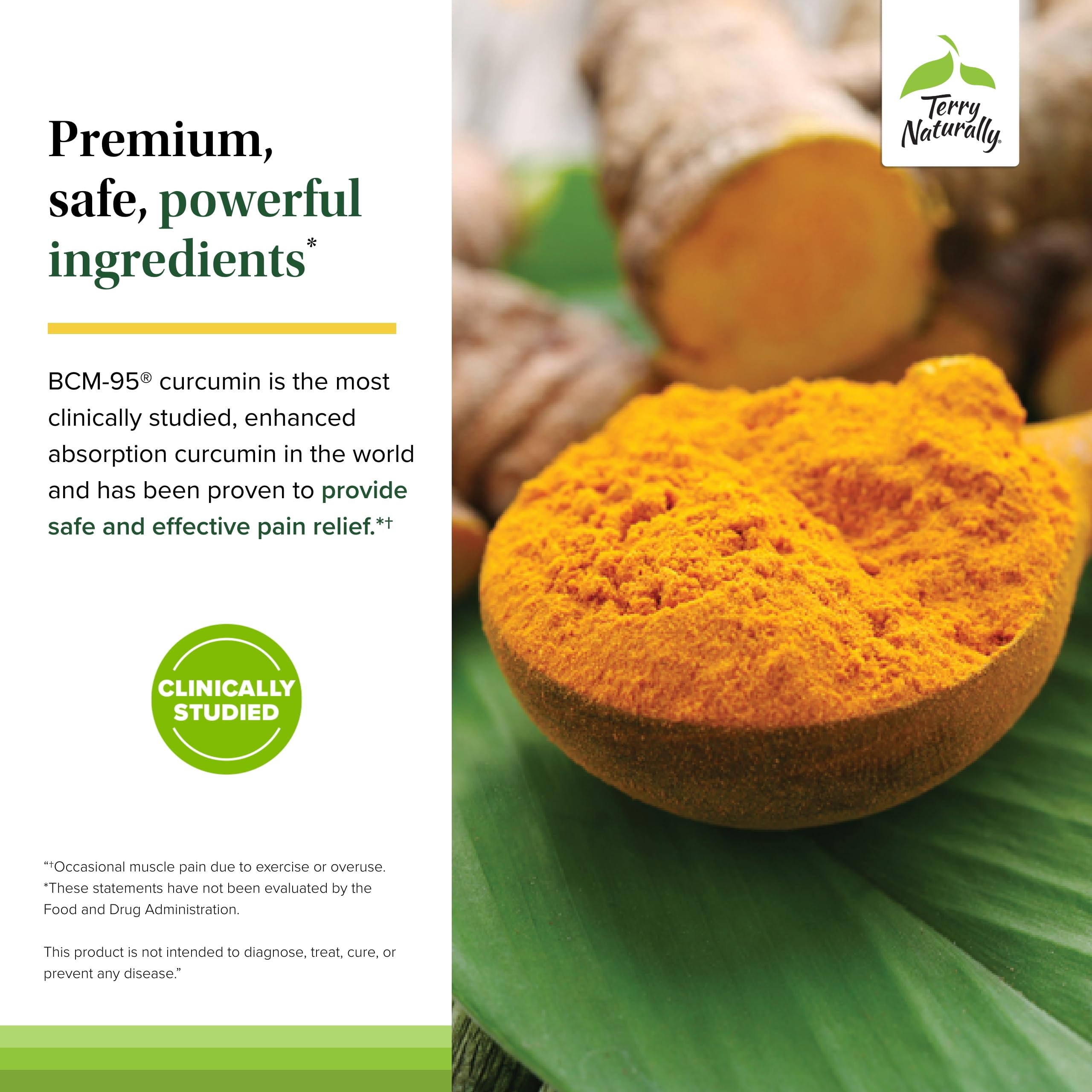 Terry Naturally Curamin - Curcumin with Boswellia, DLPA & Nattokinase - 90 Vegan Capsules