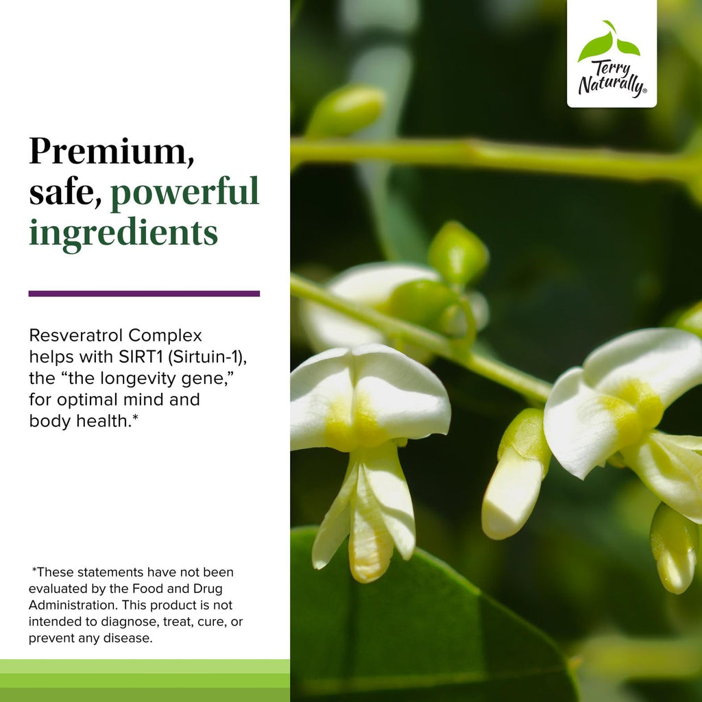 Terry Naturally Resveratrol Complex – Antioxidant Supplement with Quercetin & Curcumin – Vegan, Non-GMO, Gluten-Free – 60 Capsules (60 Servings)
