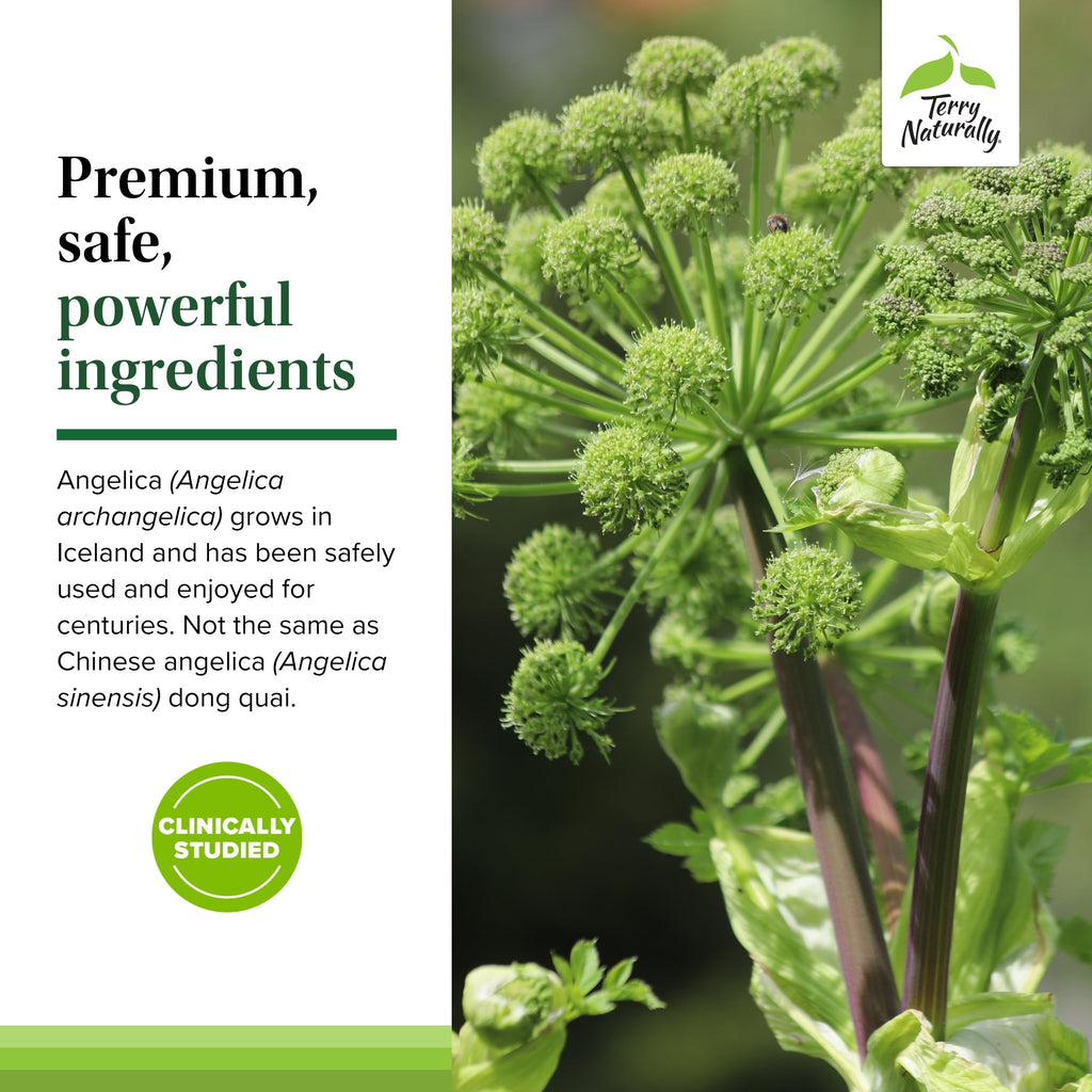 Terry Naturally SagePro Bladder: Bladder Support | Angelica Leaf Extract | Vegan 30 Capsules