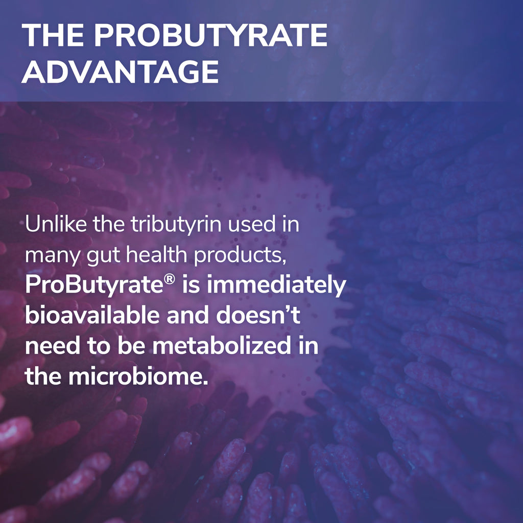 ProButyrate Gut Health Supplement by Tesseract Medical Research – 600mg, 120 Capsules