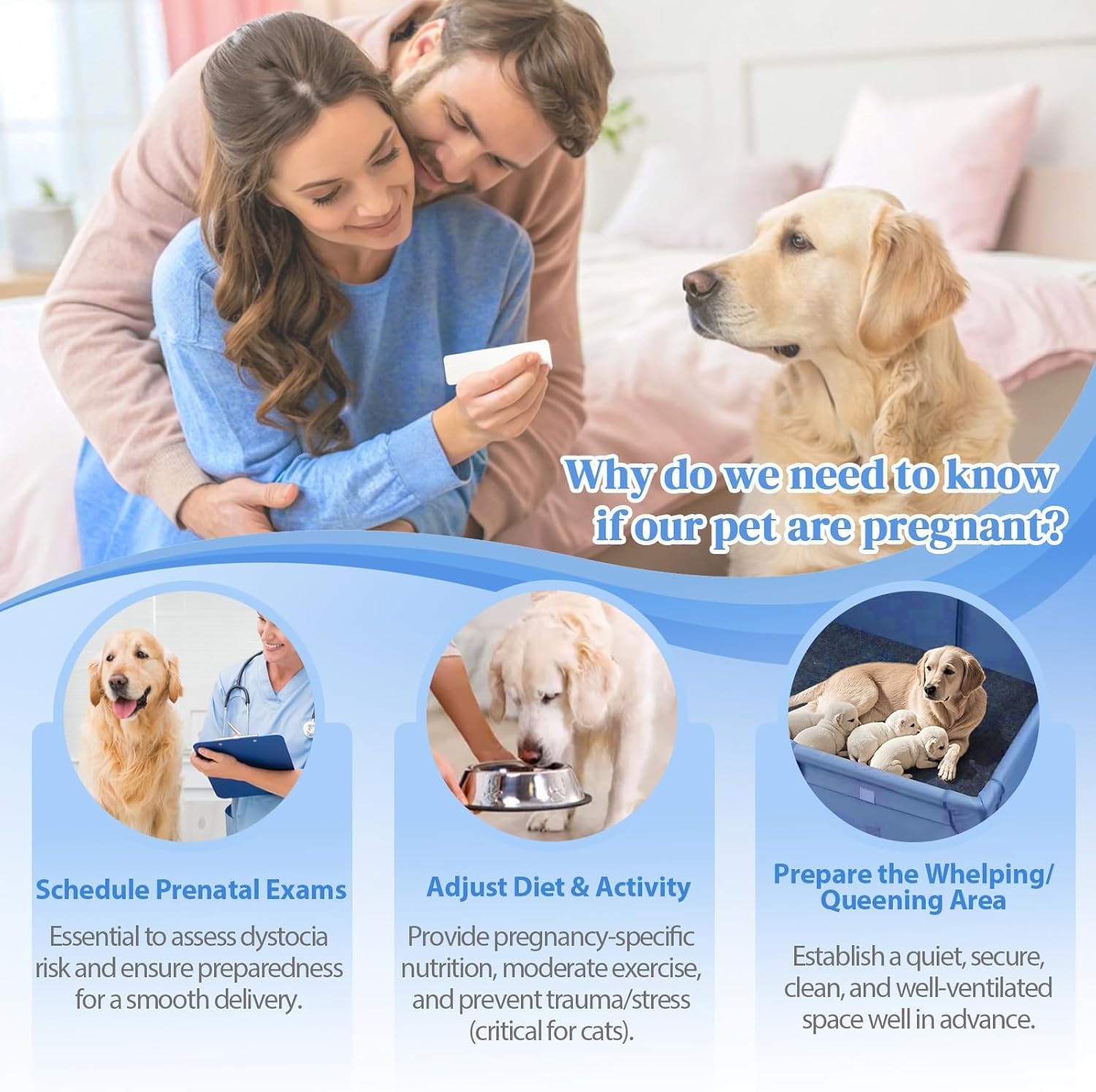 Dog and Cat Pregnancy Test Kit at Home – 5-Minute Urine Test, High Accuracy