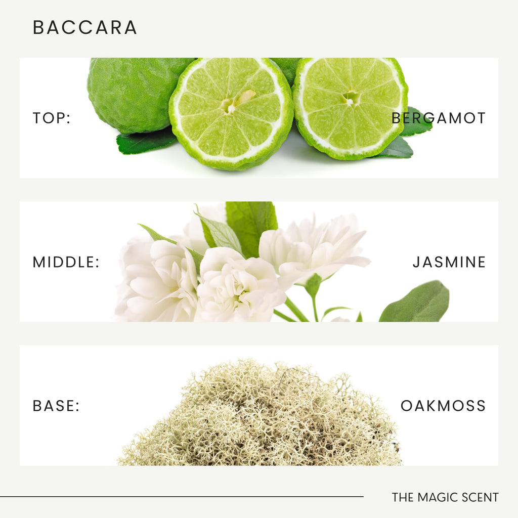 The Magic Scent Baccara Diffuser Oil – Baccarat Rouge Inspired Luxury for Home & Hotel (8.5 fl oz / 250 mL)