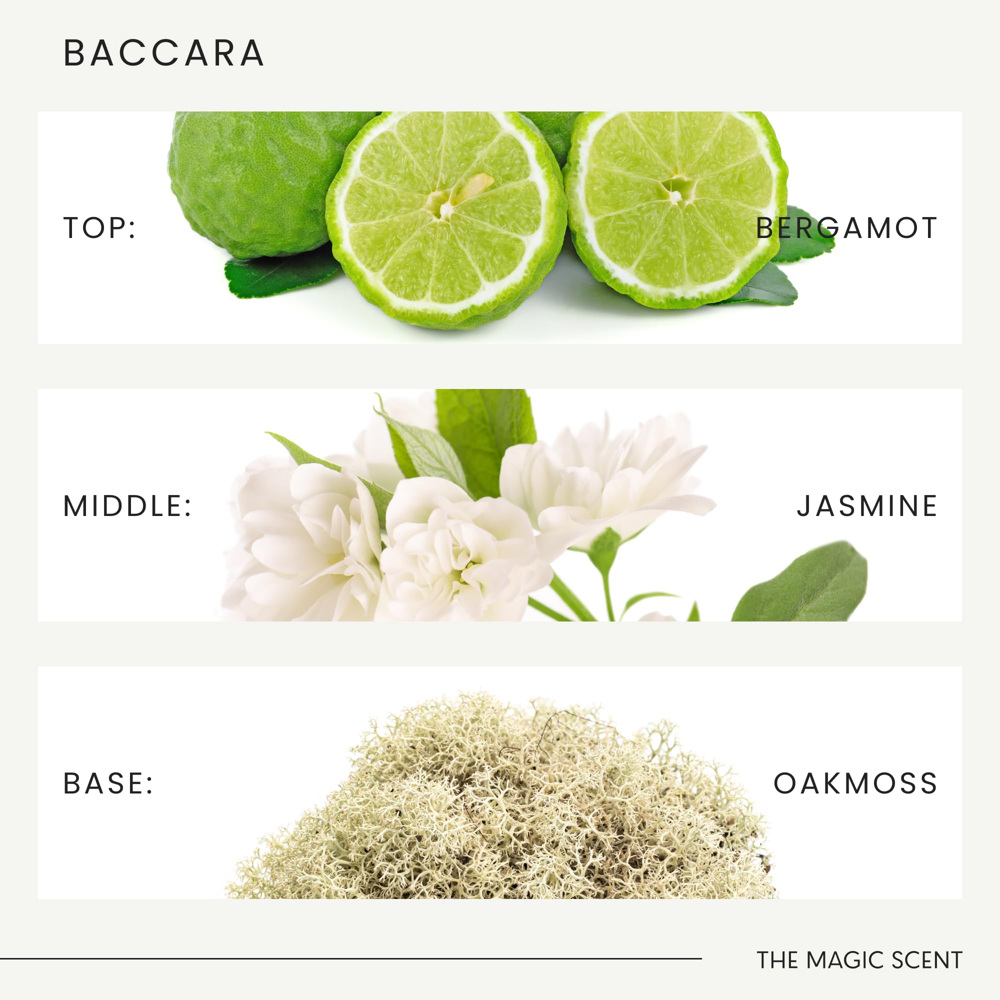The Magic Scent Baccara Diffuser Oil – Baccarat Rouge Inspired Luxury for Home & Hotel (8.5 fl oz / 250 mL)