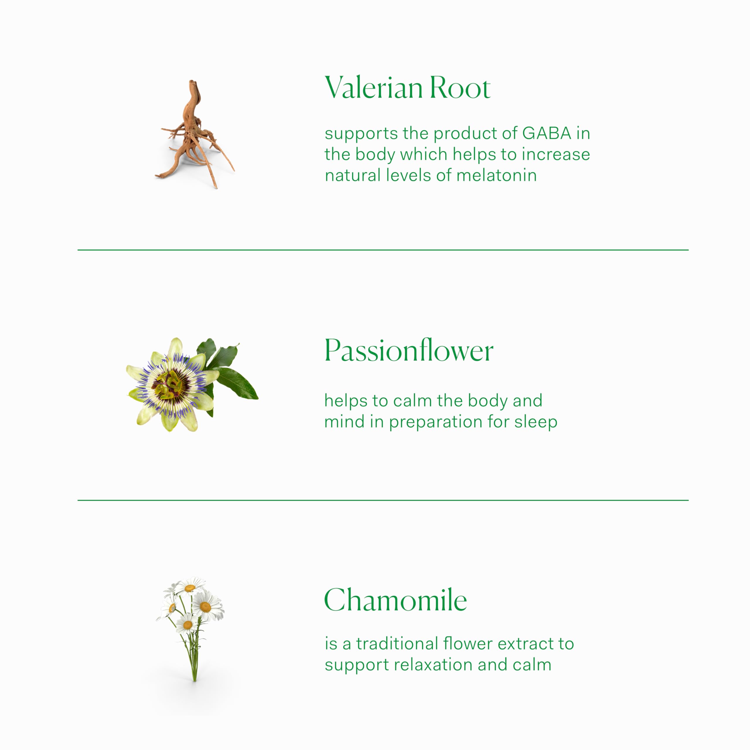 The Nue Co. Sleep Drops - Sleep Supplement | Vegan & Cruelty-Free