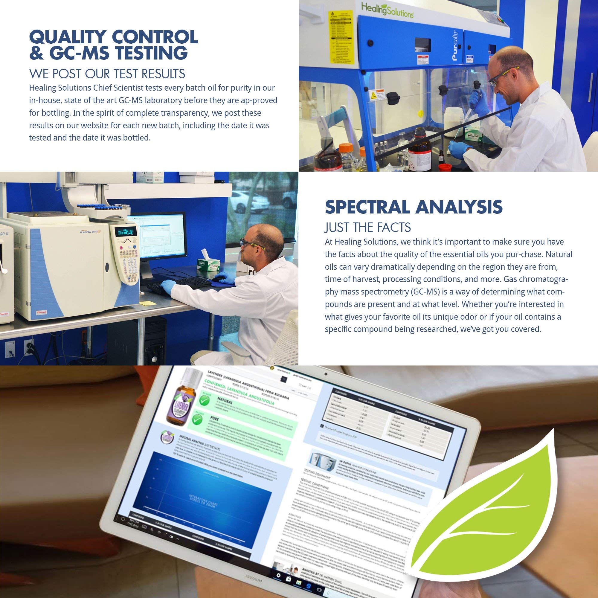 Healing Solutions Thyme Essential Oil 0.33 oz – Organic, Pure & Therapeutic Grade