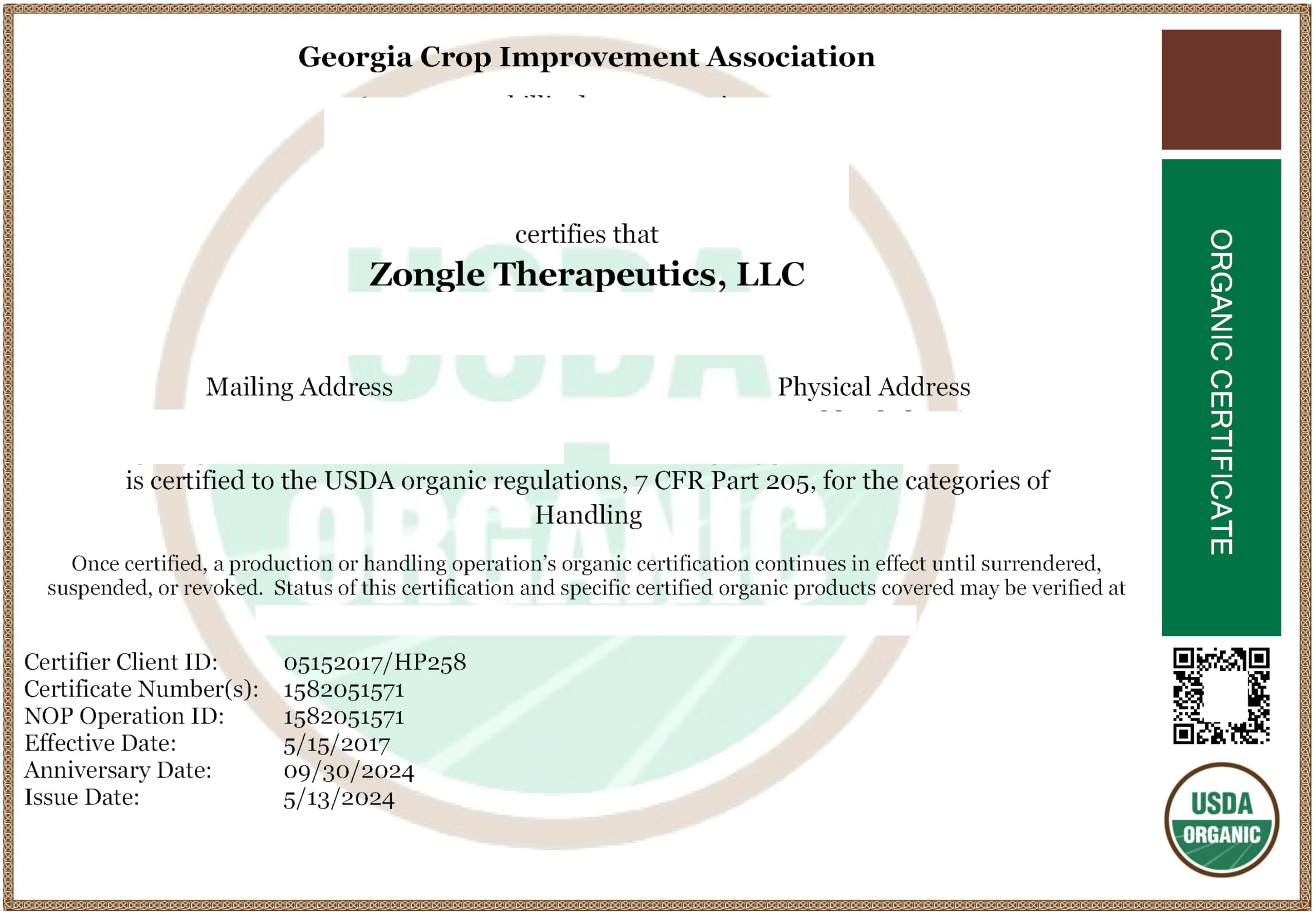 Organic Clove Oil – Food Grade for Teeth & Gums (1 OZ) | Zongle Therapeutics