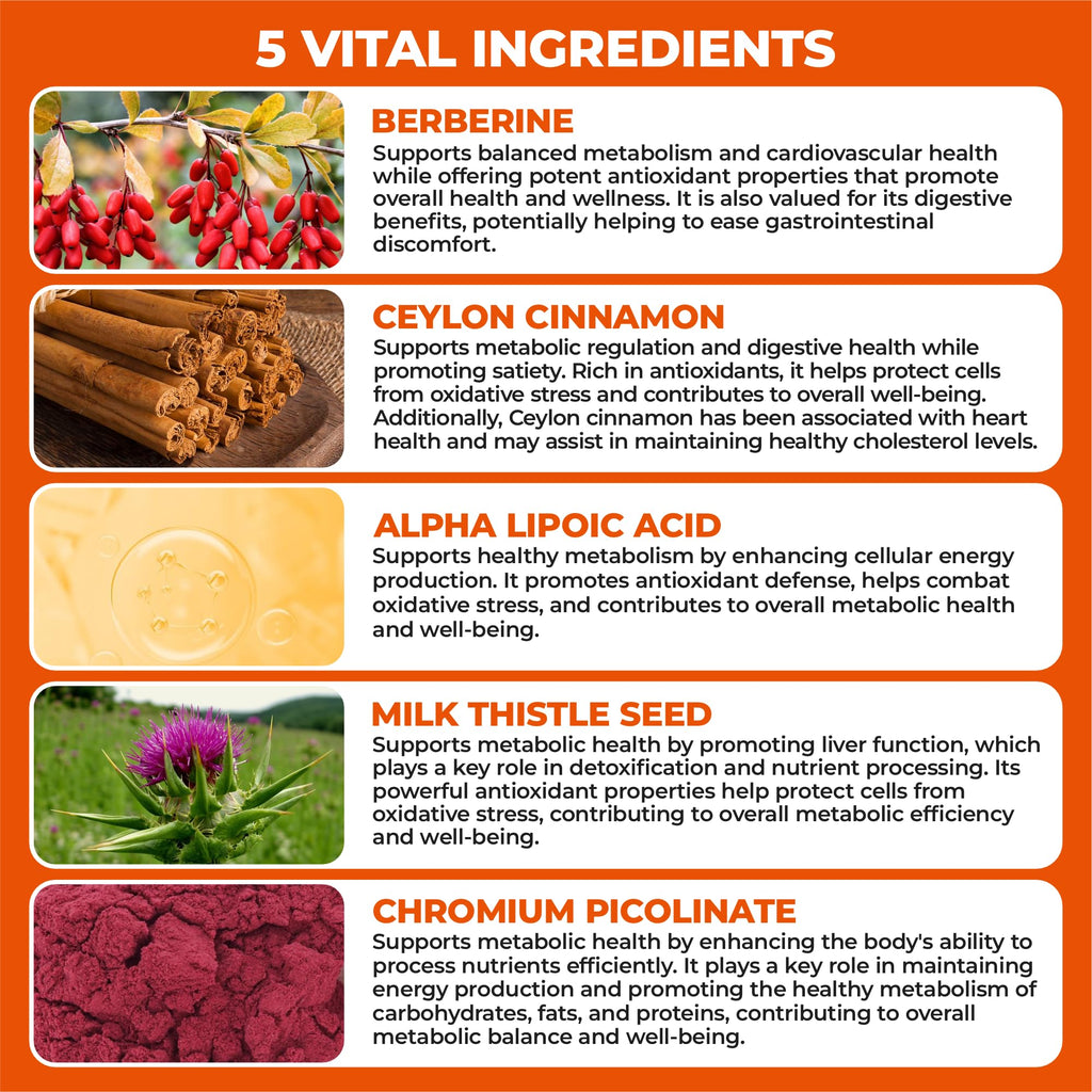 HerbaMe Berberine Metabolic Care – Cinnamon, Chromium & Alpha Lipoic Acid for Energy & Metabolism