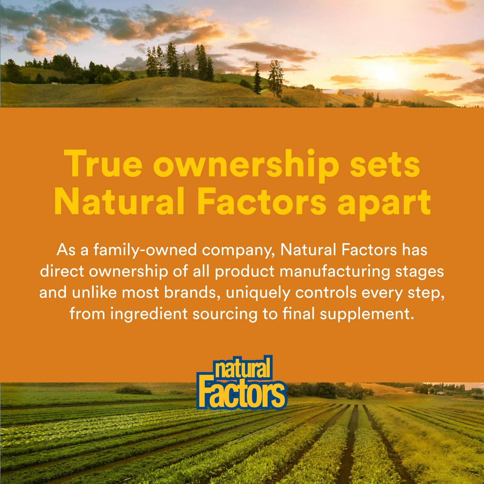 Natural Factors REGENERLIFE® 120 Capsules – Mitochondrial Support & Energy