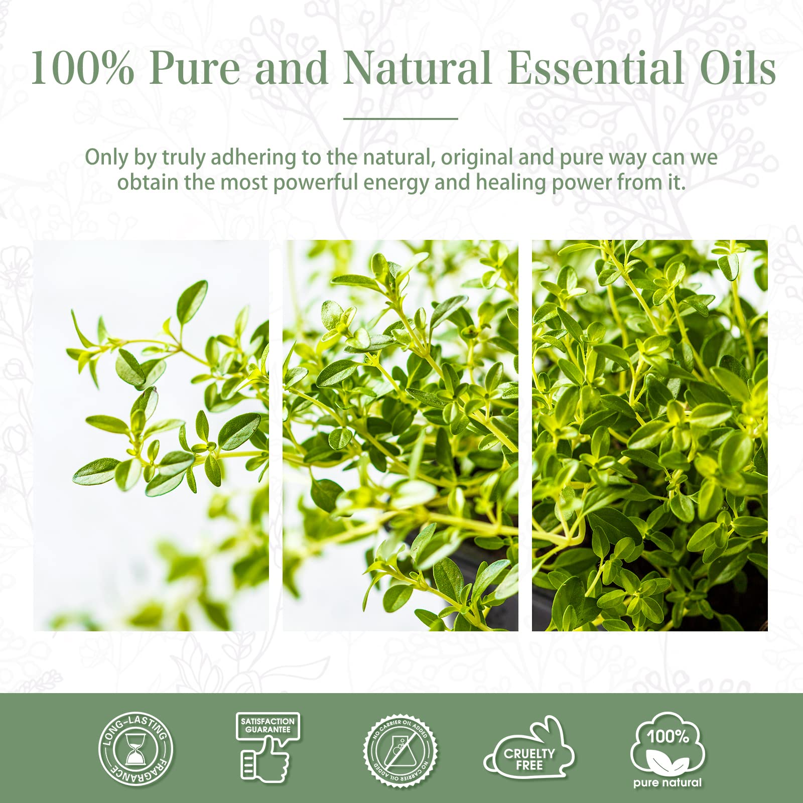 Thyme Essential Oil 100ml | PHATOIL Aromatherapy for Diffuser, DIY Soap & Candles