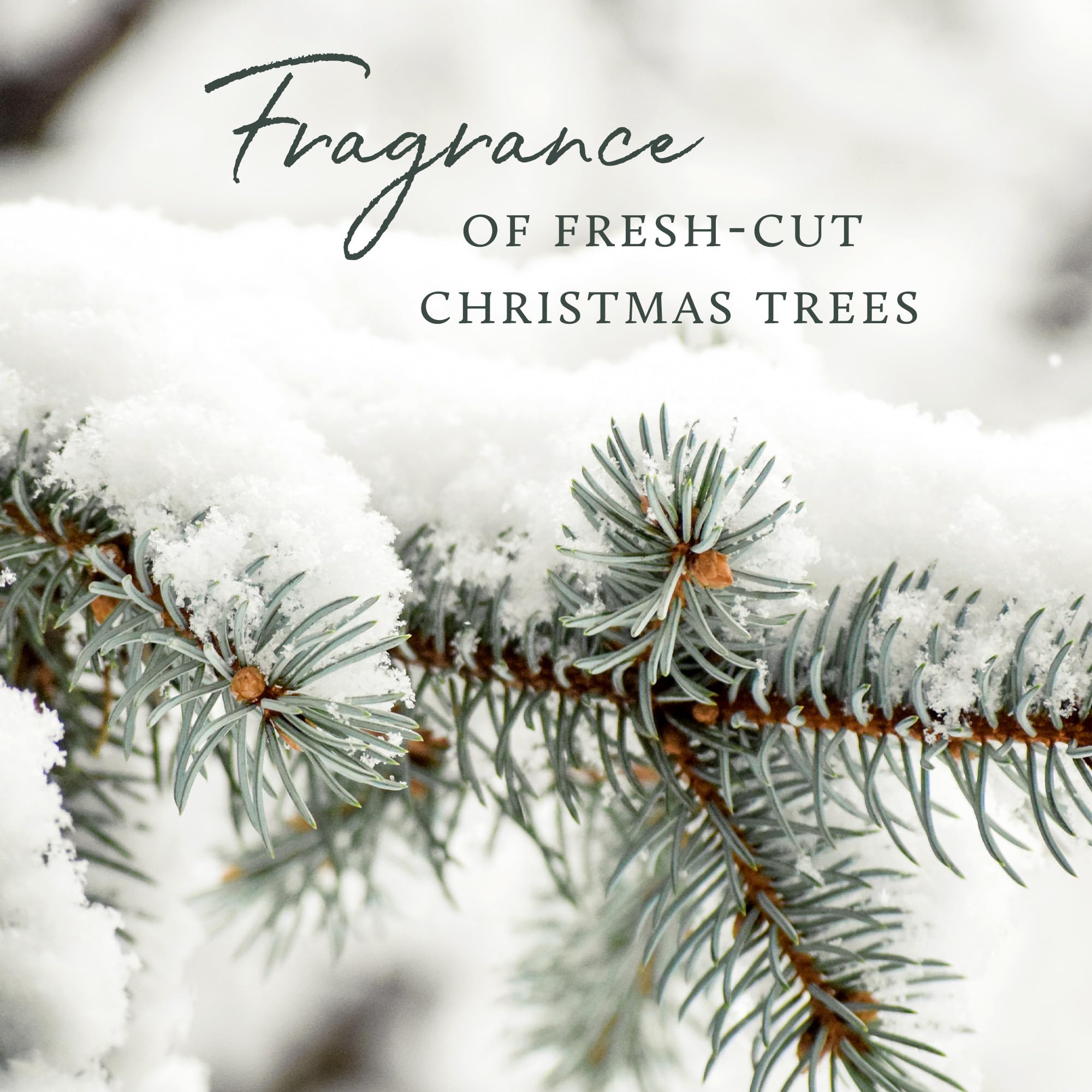 Thymes x Pura 4 Smart Diffuser Kit – Frasier Fir