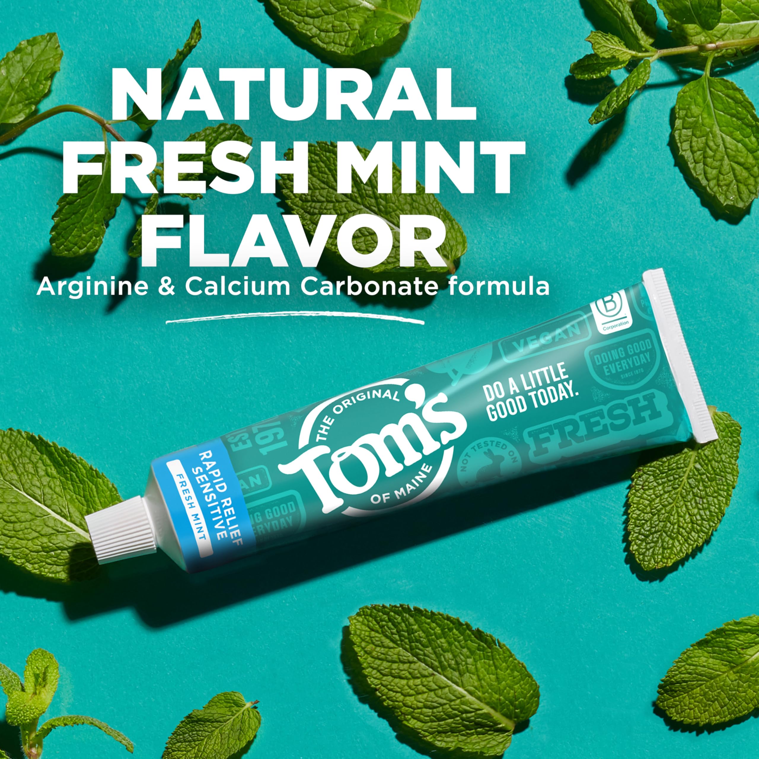 Tom's of Maine Fluoride-Free Rapid Relief Sensitive Toothpaste – Fresh Mint, 4 oz