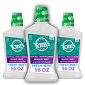 Tom's of Maine Whole Care Natural Mouthwash - Fresh Mint, 16 oz (Pack of 3)