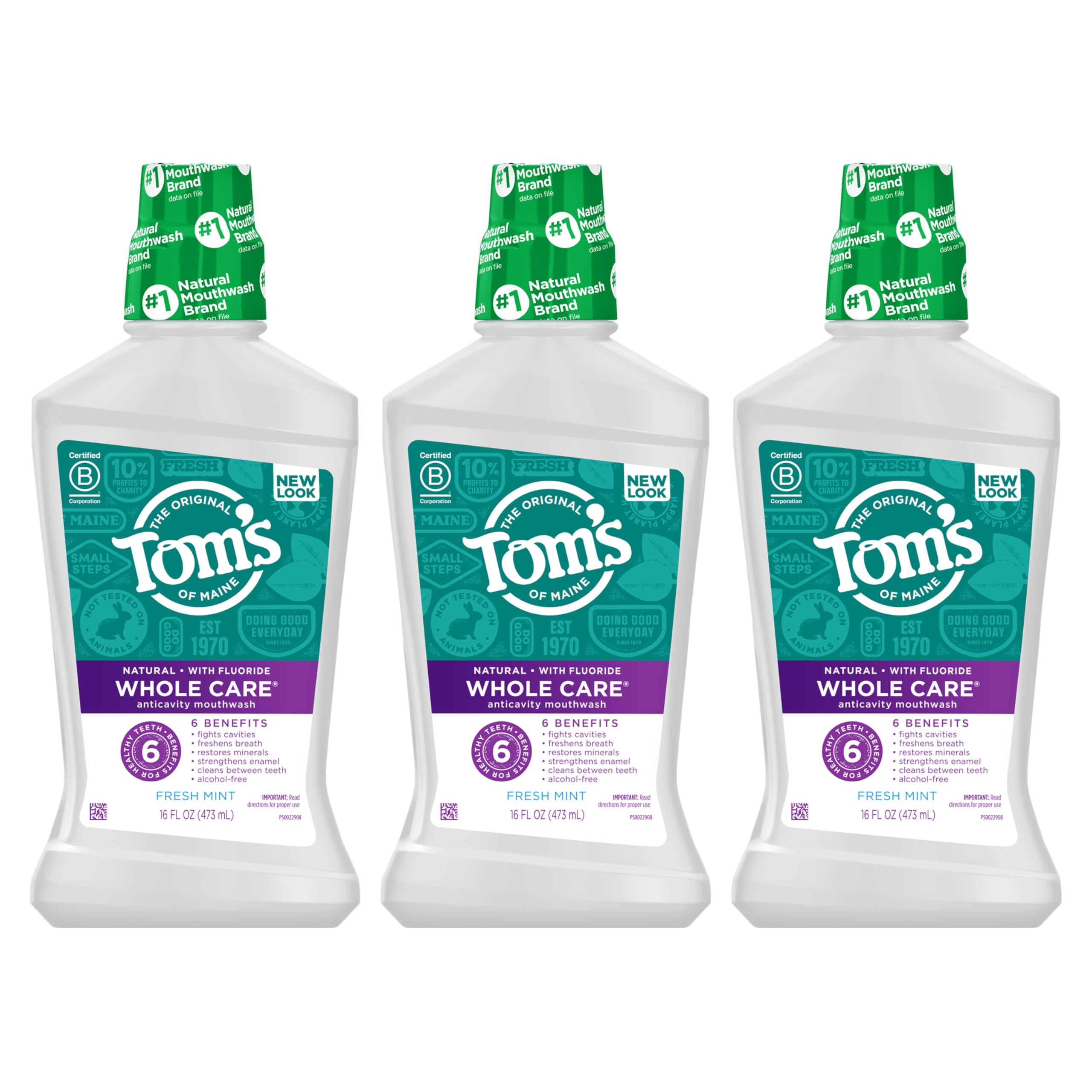 Tom's of Maine Whole Care Natural Mouthwash - Fresh Mint, 16 oz (Pack of 3)