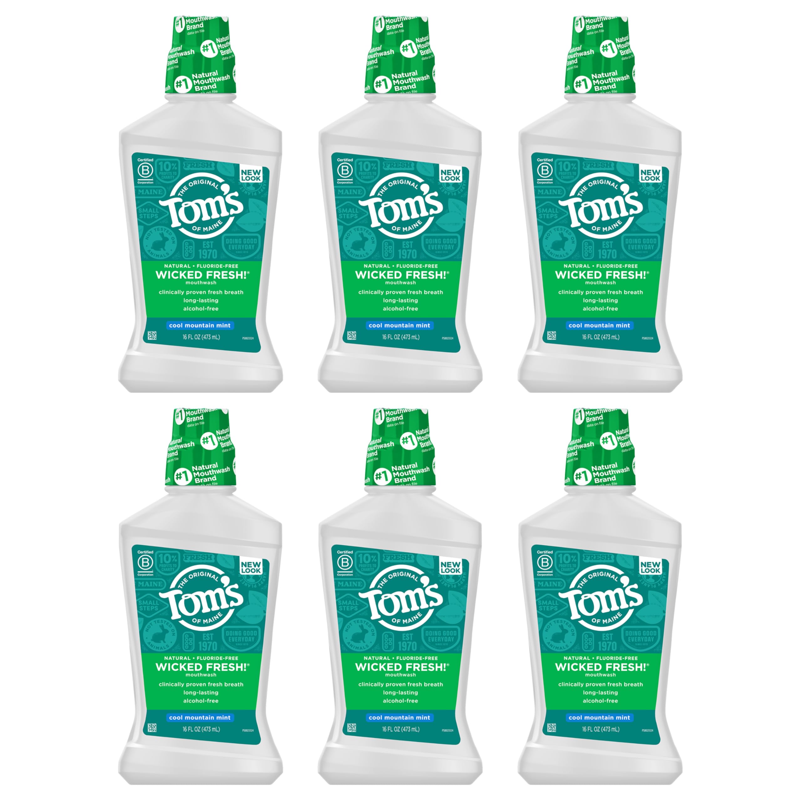 Tom's of Maine Wicked Fresh Natural Mouthwash – Alcohol-Free, Cool Mountain Mint, 16 oz (6-Pack) Packaging May Vary